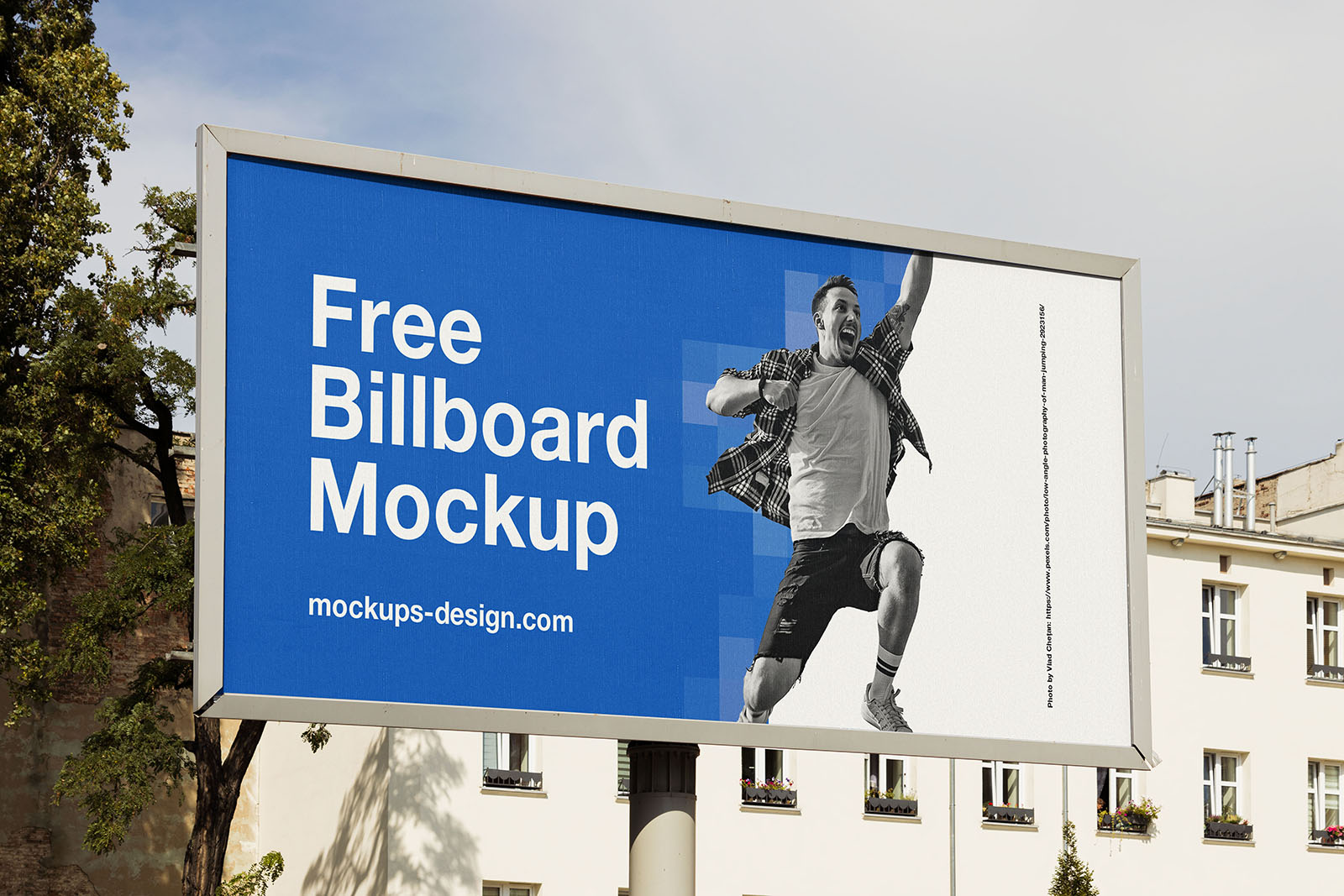 board img